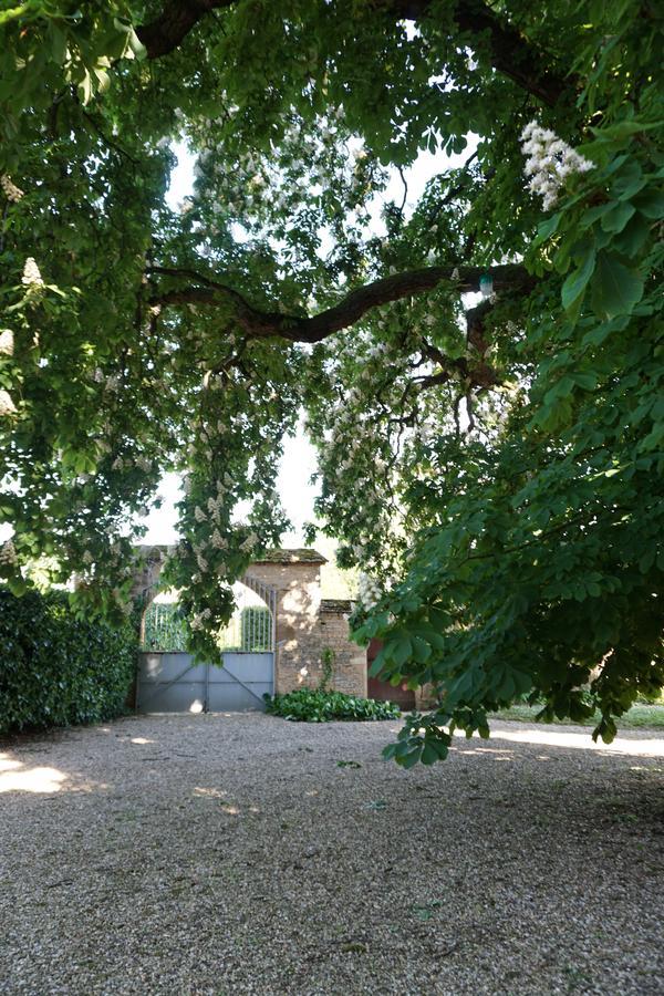 Champagny-sous-Uxelles Le Chateau المظهر الخارجي الصورة